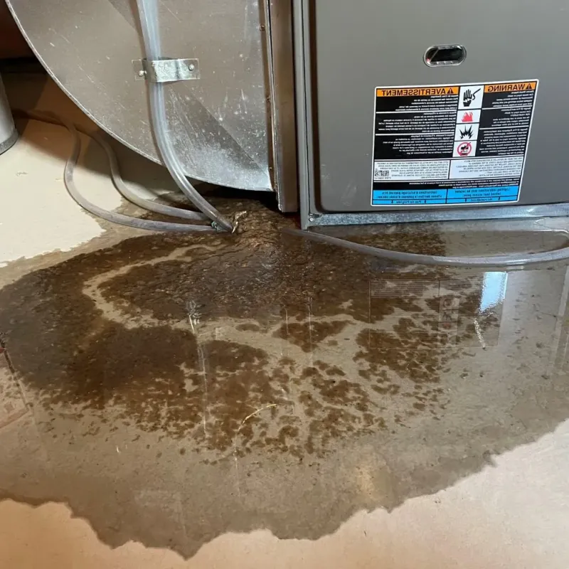 Pipe Burst and Leak Restoration in Ballenger Creek, MD